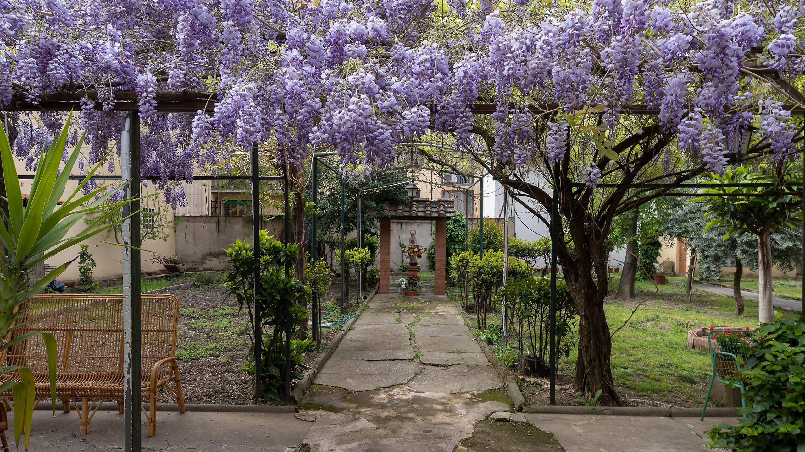 IMG--6581--Convento-SantAnna-Firenze